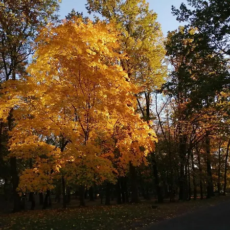 Апартаменты Am Wasserturm *