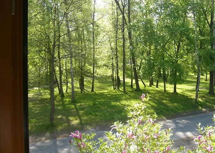 Am Wasserturm شقة