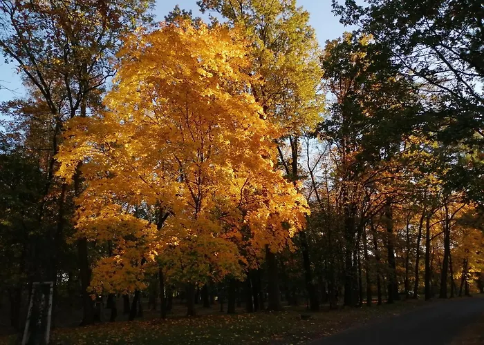 شقة Am Wasserturm *